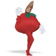 Fantasia Adulto Maça luxo