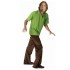 Fantasia Adulto Salsicha Scooby Doo