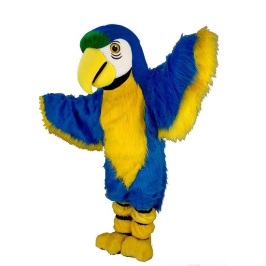 Fantasia Arara Azul Mascote Clássica