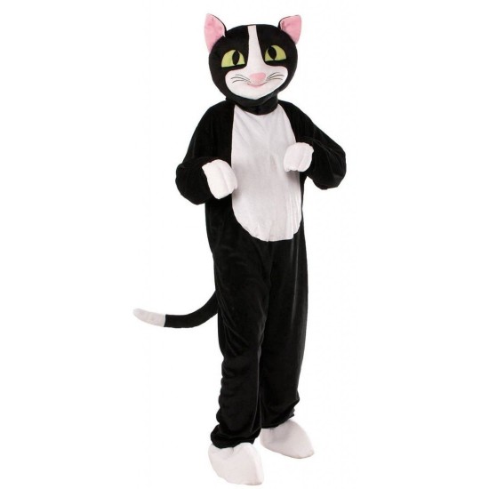 Fantasia Gato Adulto