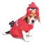 Fantasia para Cachorro Angry Birds Pássaro Vermelho