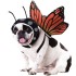 Fantasia para Cachorro de Borboleta
