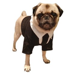 Fantasia para Cachorro Homens de Preto Frank