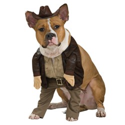 Fantasia para Cachorro Indiana Jones