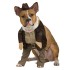 Fantasia para Cachorro Indiana Jones