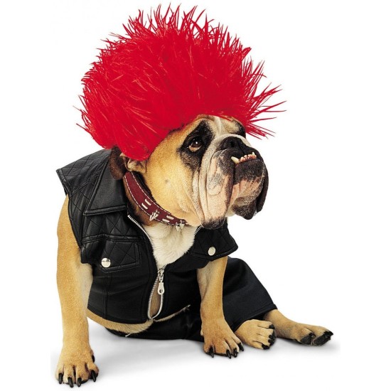 Fantasia para Cachorro Roqueiro