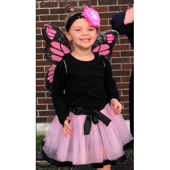Fantasia Borboleta Rosa Infantil Luxo
