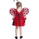 Fantasia Joaninha Infantil Clássica