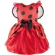 Fantasia Joaninha Infantil Luxo Clássica