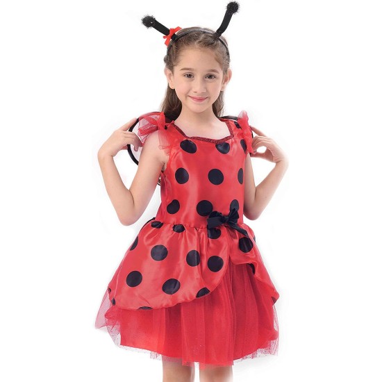Fantasia Joaninha Infantil Luxo Clássica