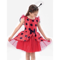 Fantasia Joaninha Infantil Luxo Clássica