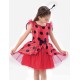 Fantasia Joaninha Infantil Luxo Clássica