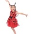 Fantasia Joaninha Infantil Luxo Clássica