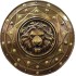 Escudo Medieval Romano e Espada Luxo