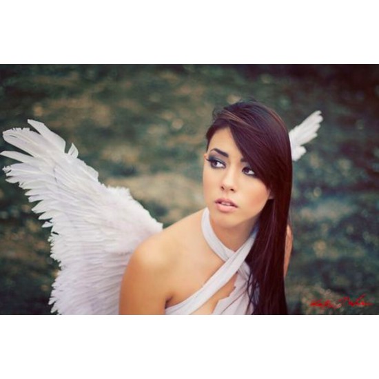 Asa Adulto para Anjo Branca Luxo