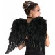 Asa Preta Adulto para Anjo Negro