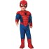 Fantasia Homem Aranha com Músculos Infantil Bebê