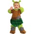 Fantasia Shrek Fiona Infantil Bebê