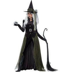 Fantasia Bruxa Negra Adulto Estilosa