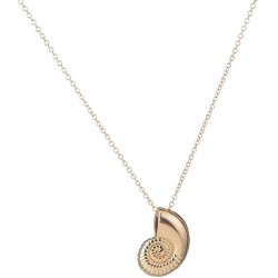 Colar Descendentes 2 Disney Luxo Uma Infantil Concha