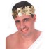 Coroa de Folhas de Louro Dourada Romana Luxo