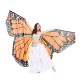 Asa Borboleta Luxo Laranja Adulto Tecido Gigante