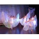Asa Branca Dança do Ventre Luxo Adulto