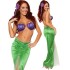 Fantasia Pequena Sereia Ariel Sexy Feminino Adulto