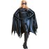 Fantasia Batgirl Adulto Collectors Luxo