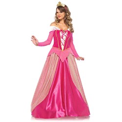Fantasia Bela Adormecida Aurora Luxo Adulto