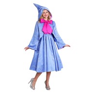Fantasia Fada Madrinha Cinderela Disney Adulto 