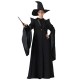 Fantasia Professor McGonagall Minerva Harry Potter