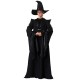 Fantasia Professor McGonagall Minerva Harry Potter