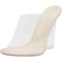 Sapato Transparente Anabella Luxo