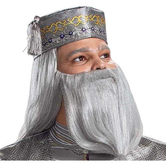 Fantasia Dumbledore Adulto De Luxo