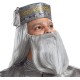 Fantasia Dumbledore Adulto De Luxo
