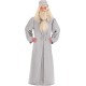 Fantasia Dumbledore Adulto De Luxo Harry Potter
