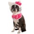 Fantasia para Cachorro Hello Kitty