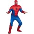 Fantasia Homem Aranha Adulto Clássica Marvel