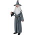 Fantasia Gandalf Hobbit Infantil