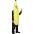 Fantasia Infantil Fruta Banana