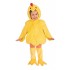 Fantasia Infantil Pintinho Luxo