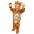 Fantasia Infantil Tigre Dourado