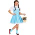 Fantasia Dorothy Infantil Mágico de Oz Luxo
