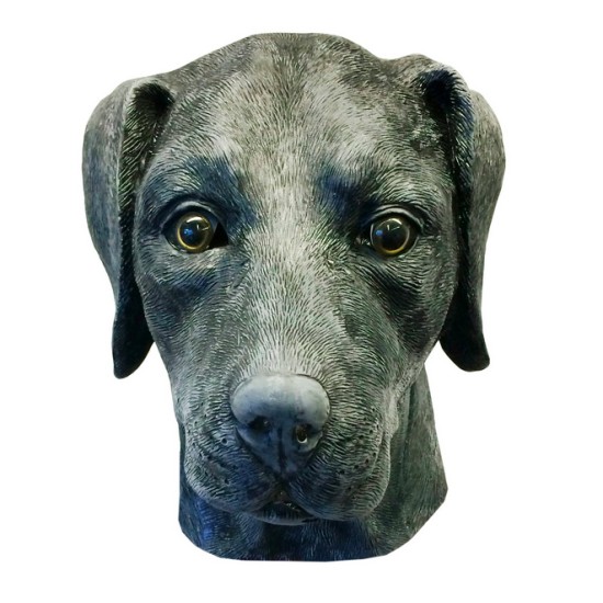 Máscara de Cachorro Labrador Vinil Animal Luxo