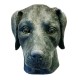 Máscara de Cachorro Labrador Vinil Animal Luxo