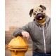 Máscara de Cachorro Pug Vinil Animal Luxo
