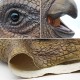 Máscara de Dinossauro Triceratopes