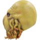 Máscara de Polvo Pirate Davy Jones