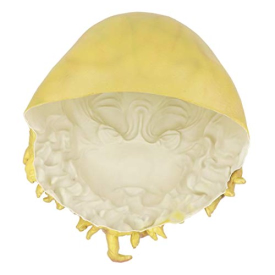 Máscara de Polvo Pirate Davy Jones Luxo